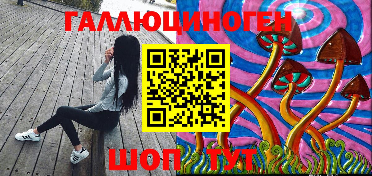 Галлюциногенные грибы Psilocybine cubensis Ачхой-Мартан