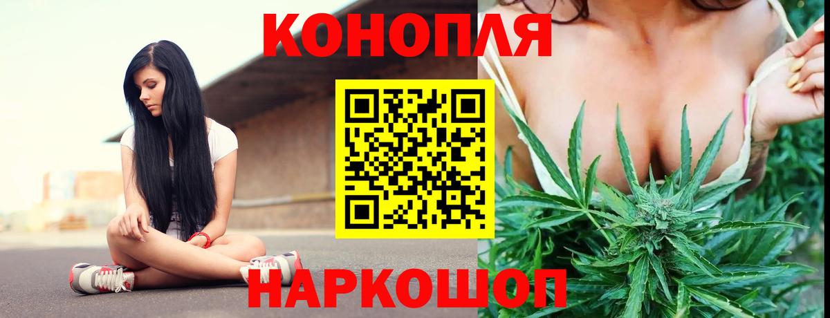 Ачхой-Мартан  Бошки Шишки гибрид  Марихуана гибрид  Вход с VPN  Бошки марихуана индика 